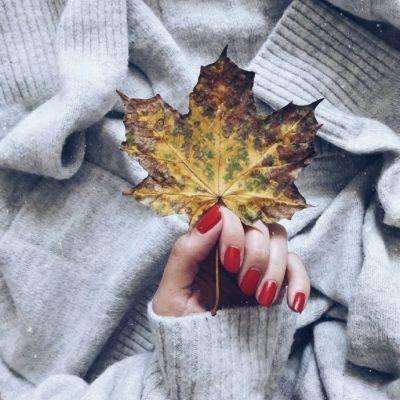 米乐m6官网登录入口app下载截图