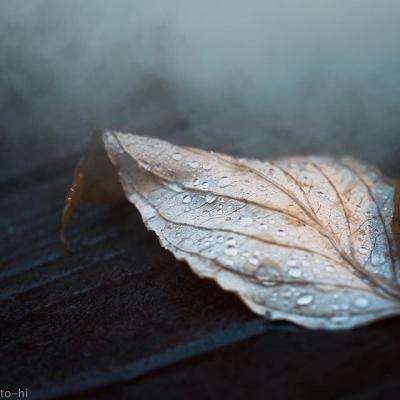 米乐m6官网登录入口app下载截图